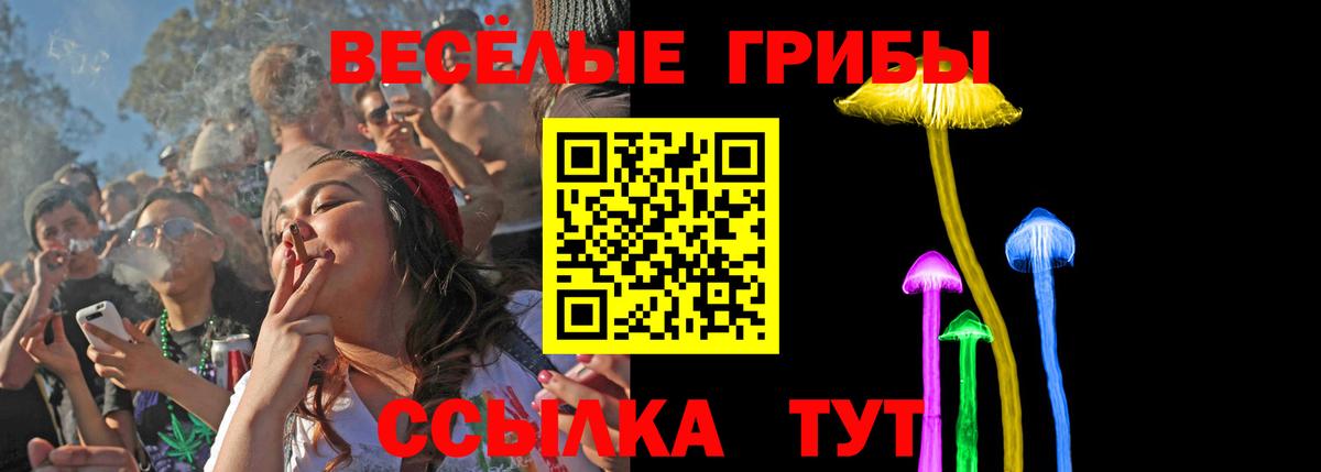 Псилоцибиновые грибы мицелий  Вход с VPN  Шарыпово 